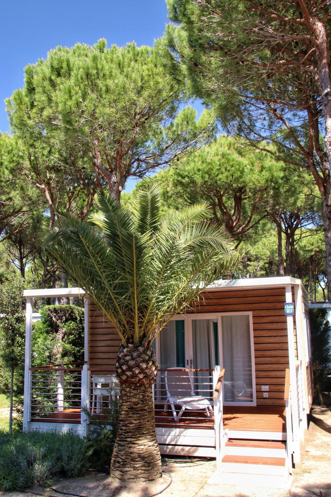 Apartment Dune Prestige&chalets